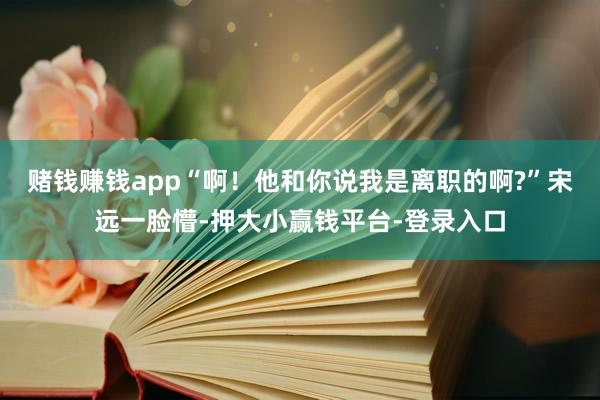 赌钱赚钱app“啊！他和你说我是离职的啊?”宋远一脸懵-押大小赢钱平台-登录入口