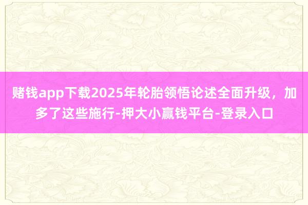 赌钱app下载2025年轮胎领悟论述全面升级，加多了这些施行-押大小赢钱平台-登录入口