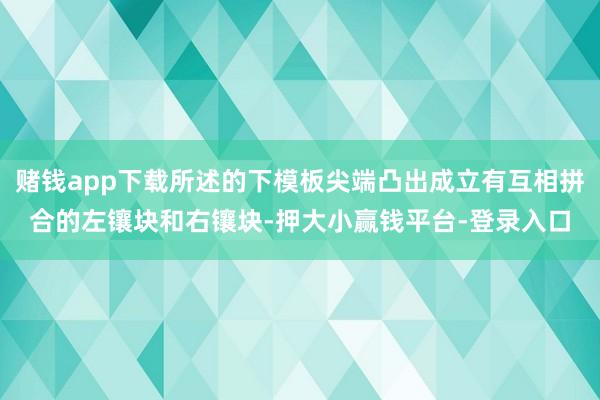 赌钱app下载所述的下模板尖端凸出成立有互相拼合的左镶块和右镶块-押大小赢钱平台-登录入口