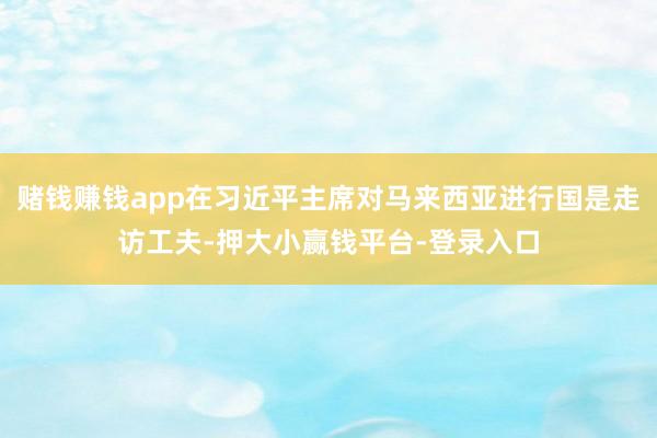 赌钱赚钱app在习近平主席对马来西亚进行国是走访工夫-押大小赢钱平台-登录入口