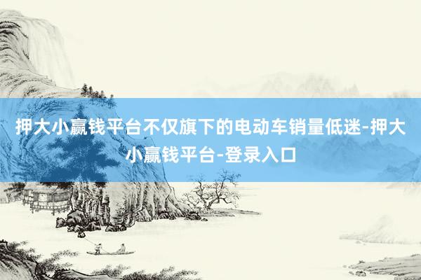 押大小赢钱平台不仅旗下的电动车销量低迷-押大小赢钱平台-登录入口