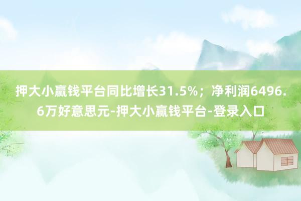 押大小赢钱平台同比增长31.5%；净利润6496.6万好意思元-押大小赢钱平台-登录入口