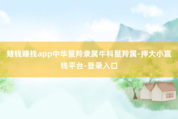 赌钱赚钱app　　中华鬣羚隶属牛科鬣羚属-押大小赢钱平台-登录入口