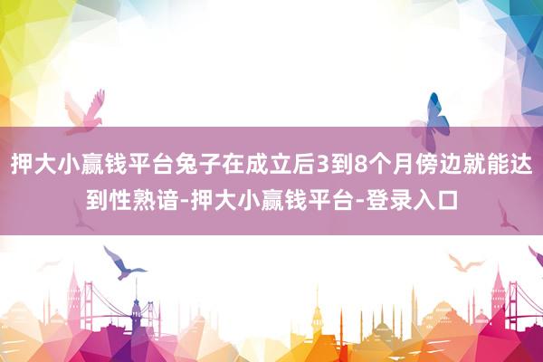 押大小赢钱平台兔子在成立后3到8个月傍边就能达到性熟谙-押大小赢钱平台-登录入口