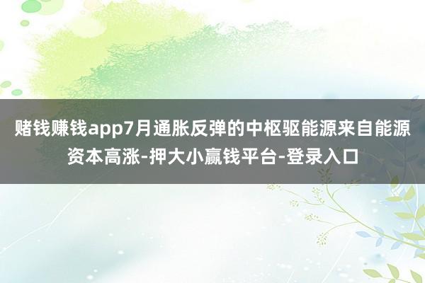 赌钱赚钱app7月通胀反弹的中枢驱能源来自能源资本高涨-押大小赢钱平台-登录入口