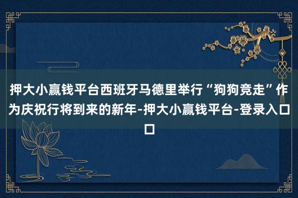 押大小赢钱平台西班牙马德里举行“狗狗竞走”作为庆祝行将到来的新年-押大小赢钱平台-登录入口