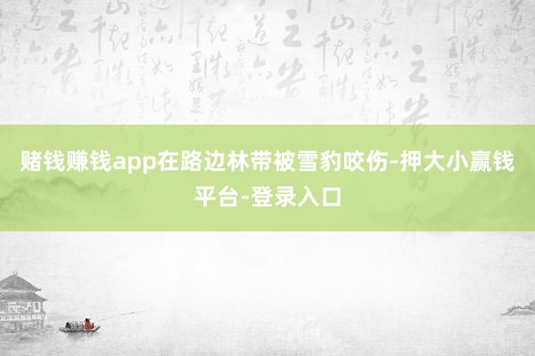 赌钱赚钱app在路边林带被雪豹咬伤-押大小赢钱平台-登录入口